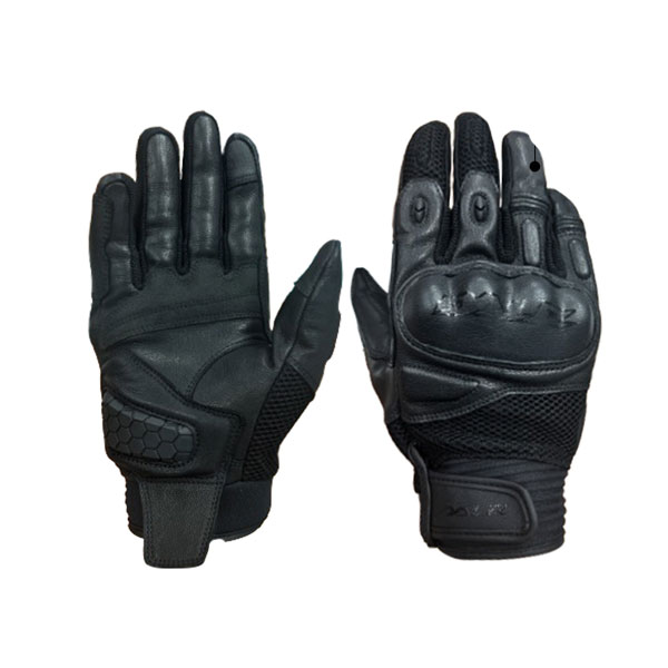 Daisy on the Ohoopee